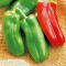 Giant Marconi - Grilling Pepper | 7 to 8" long | Smoky flavor